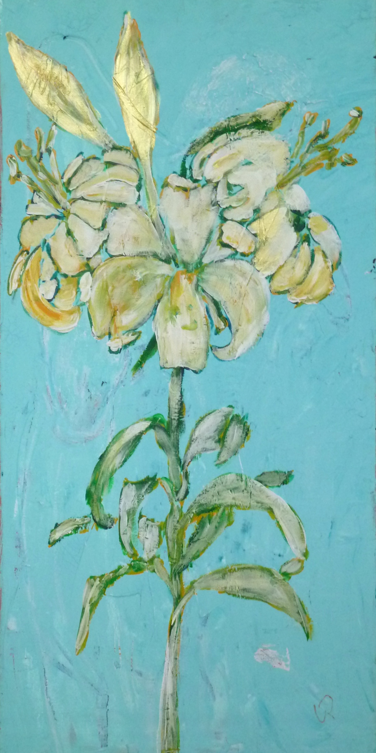 Lilie II • 50 x 100